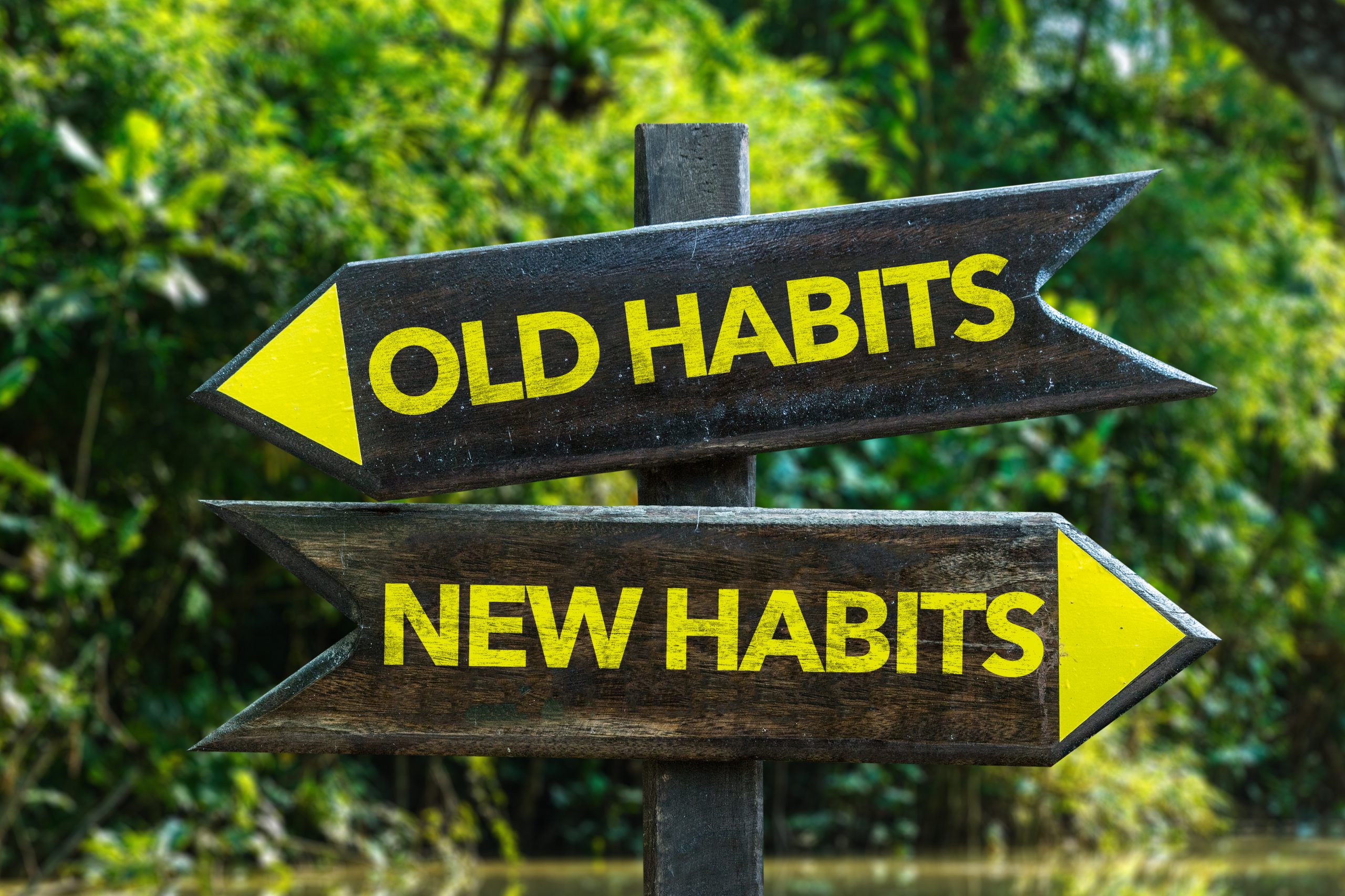 understanding the Nature of Addiction